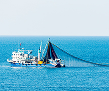 Fill and Empty Control in Seafood Processing Tank