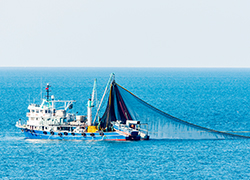 Fill and Empty Control in Seafood Processing Tank
