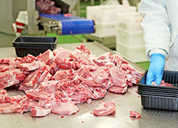 Meat Packing Plant High Pressure Cook Kettle