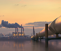 Power and C-Generation Plants