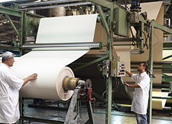 Pulp and Paper Plant