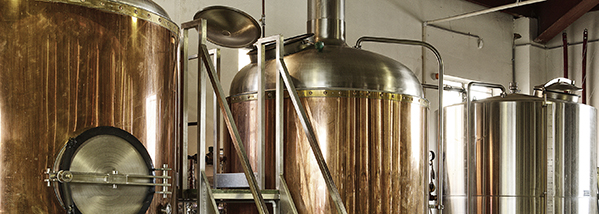 What Makes Level Technology Universal