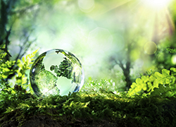 Environmental Compliance